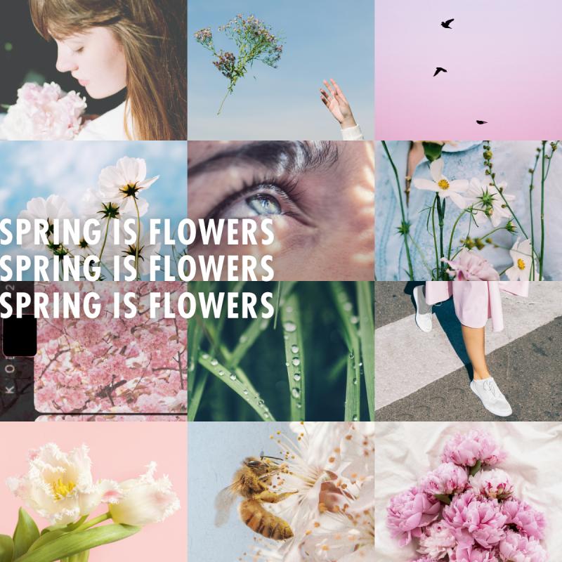 Spring is flowers