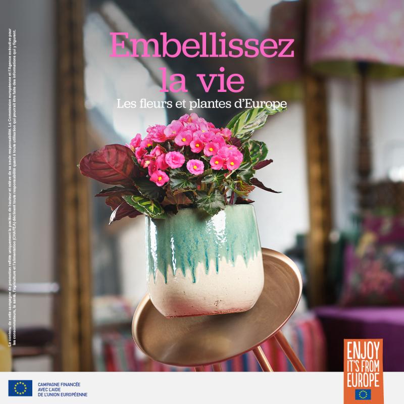 Joint promotional campaign for European flowers and plants